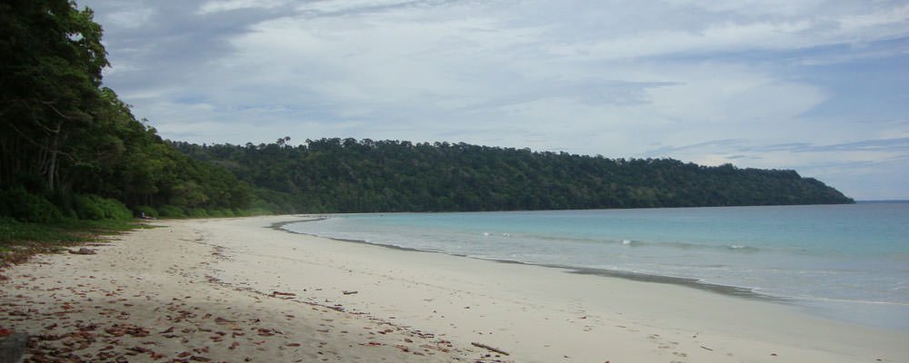 Saddle Peak